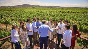 Chile's Best Wine Tasting Tours & Winery Visits
