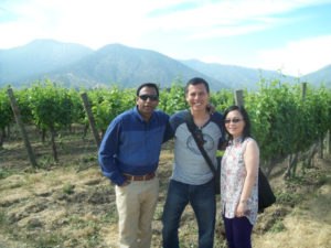 Chile Winery Tours